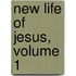 New Life of Jesus, Volume 1