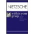 Nietzsche Within Your Grasp