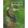 North American Wading Birds by John Netherton