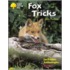 Ort:jackdaws (1) Fox Tricks