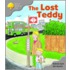 Ort:stg 1 Strybk Lost Teddy