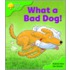 Ort:stg 2 Big Bks Pack Of 6