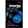 Out Of The Energy Labyrinth by Prof David Howell