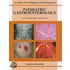 Paediatric Gastroenterology