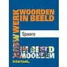 Werkwoorden in beeld - Spaans by R. Ryder
