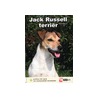 Jack Russell terriër