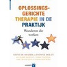 Oplossingsgerichte therapie in de praktijk by Y. Dolan