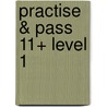 Practise & Pass 11+ Level 1 door Peter Williams