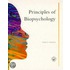 Principles Of Biopsychology