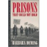 Prisons That Could Not Hold door Barbara Deming
