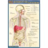 Quickstudy Digestive System door Onbekend