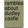 Rambles about Dudley Castle door William Harris