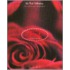 Red Notecards with Envelope