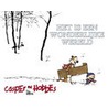 Casper & Hobbes / 11 Het is een wondere wereld