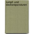 Rumpf- und Decksreparaturen