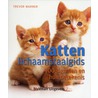 Kattenlichaamstaalgids