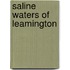 Saline Waters of Leamington