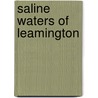 Saline Waters of Leamington door Francis William Smith