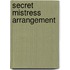 Secret Mistress Arrangement