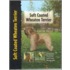 Soft Coated Wheaten Terrier