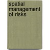 Spatial Management of Risks door Gerard Brugnot