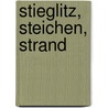 Stieglitz, Steichen, Strand door Malcolm R. Daniel