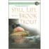 Still Life with Brook Trout