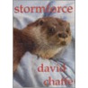 Stormforce, An Otter's Tale door David Ronald John Chaffe