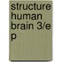Structure Human Brain 3/e P