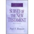 Survey Of The New Testament