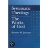 Systematic Theology Vol 2 C door Robert W. Jenson