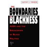 The Boundaries Of Blackness door Cathy J. Cohen