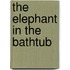 The Elephant in the Bathtub