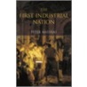 The First Industrial Nation door Peter Mathias
