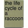 The Life Cycle Of A Raccoon door John Crossingham