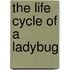 The Life Cycle of a Ladybug