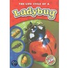 The Life Cycle of a Ladybug by Colleen Sexton