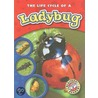 The Life Cycle of a Ladybug door Colleen Sexton