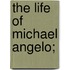 The Life Of Michael Angelo;