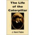 The Life of the Caterpillar