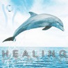 Healing door R. Martina