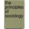 The Principles Of Sociology door Edward Alsworth Ross