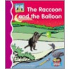 The Raccoon And the Balloon door Pam Scheunemann