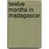 Twelve Months In Madagascar
