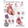 Understanding Heart Disease door Scientific Publishing Ltd.