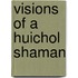 Visions Of A Huichol Shaman
