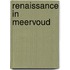 Renaissance in meervoud