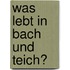 Was lebt in Bach und Teich?