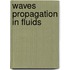 Waves Propagation In Fluids