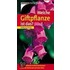Welche Giftpflanze ist das?
